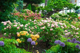 Mało kto wie o tym urokliwym ogrodzie. To idealne miejsce na romantyczną sesję. Znajduje się w Polsce! 