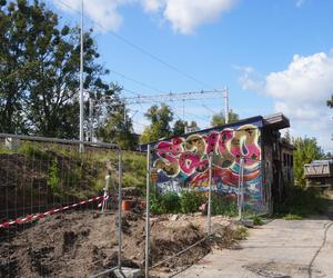 Zdemolowane rudery niemal w centrum Olsztyna. „Smród bywa podobno nie do zniesienia” [ZDJĘCIA]