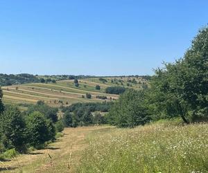 Roztocze poleca się na jesienne wyprawy. Sprawdź ile o nim wiesz!