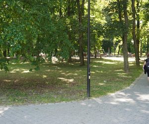 Park Miejski w Sandomierzu