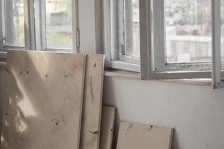 Obrazy do nowoczesnych wnętrz. Daria Navumchyk wykonuje niesamowite dzieła. Zobacz zdjęcia