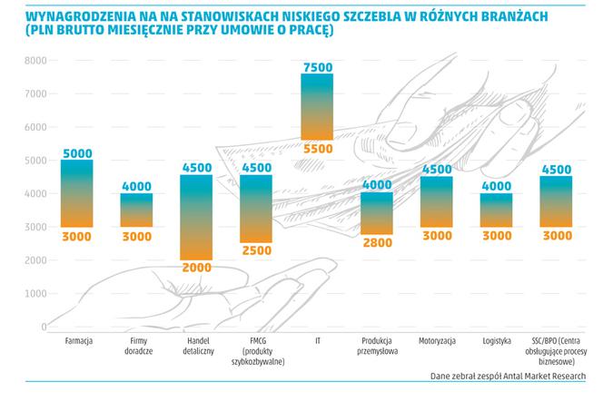 PORTFEL STUDENTA wynagrodzenia na stanowisku niskiego szczebla