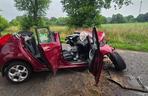 Makabryczny wypadek pod Szczecinem. Rozpędzone auto uderzyło w drzewo. Jedna osoba nie żyje, dwie są ranne