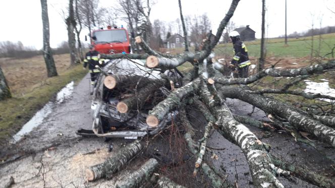 Wichura na Warmii i Mazurach. Są osoby poszkodowane. Ponad 10,6 tys. odbiorców bez prądu [ZDJĘCIA]