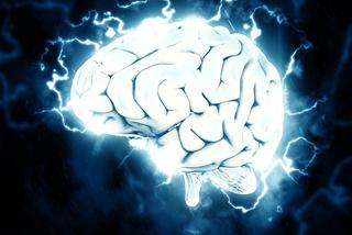 Tajemnice ludzkiego mózgu. Uniwersytet w Białymstoku zaprasza na wykłady online
