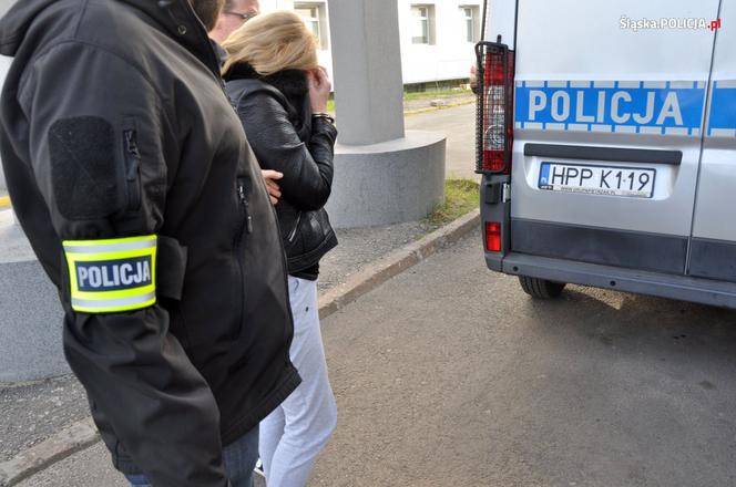 Śląska policja rozbiła gang sutenerów! Zarabiali na cudzej prostytucji [ZDJĘCIA]