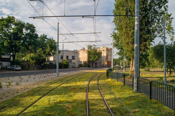 Jedna z najważniejszych inwestycji Torunia na finiszu. Zobaczcie zdjęcia z projektu BiT-City II