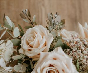 Serdeczne życzenia imieninowe dla Piotra. Niech każdy dzień przyniesie mu wiele powodów do uśmiechu