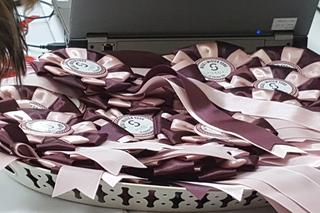 Miss i mister yorków w SCC