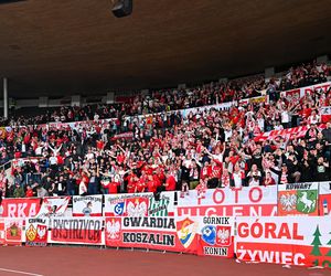 Kibice na meczu Finlandia - Polska: Wielkie racowisko