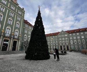 Święta Bożego Narodzenia na szczecińskich Jasnych Błoniach