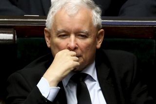 PiS i Kukiz'15 wygrywają wybory w Polsce. Wyniki najnowszego sondażu