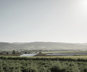 Bill Gates łagodzi prognozy. Czy koniec świata jest odwołany?