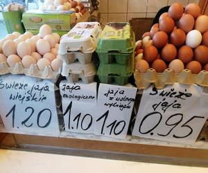 Wielkanoc 2023 będzie naprawdę droga. Jakie ceny jajek, majonezu czy warzyw?