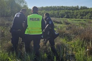 Poszukiwania pod Bełchatowem. 76-latek ugrzązł na mokradłach [ZDJĘCIA].