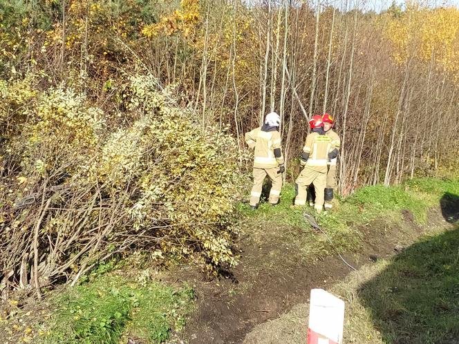 Wypadek Starachowice Rzepin 29.10.2023