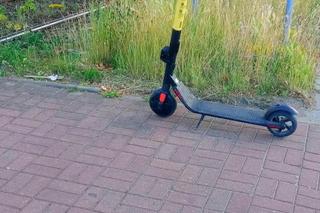 Porzucone hulajnogi w Szczecinie