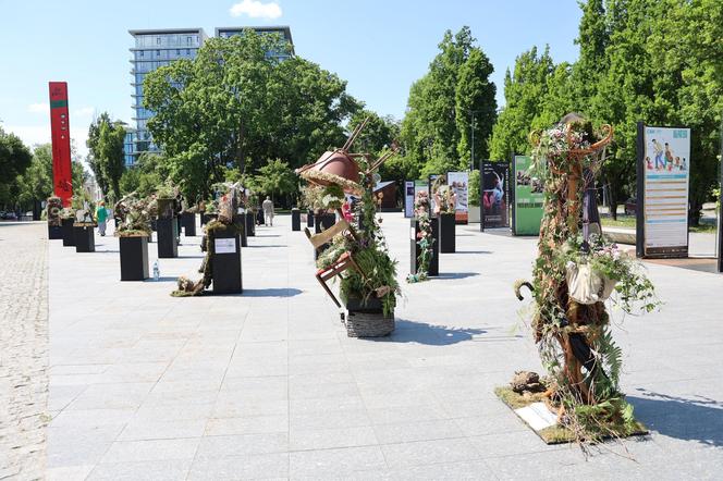 Weekend z florystyką w Lublinie. Zobacz imponujące roślinne instalacje w centrum miasta!