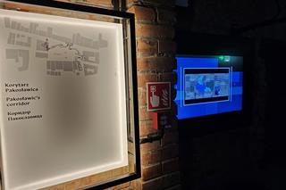 Noc Muzeów 2024 w Rzeszowie