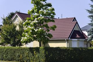 Amerykańska ulica we Wrocławiu istnieje naprawdę. Tak wygląda Tunelowa