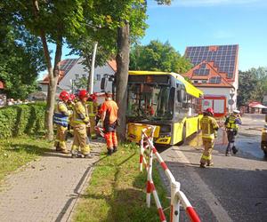 Wypadek autobusu w Mysłowicach