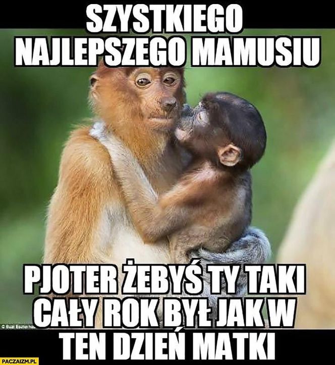 memy