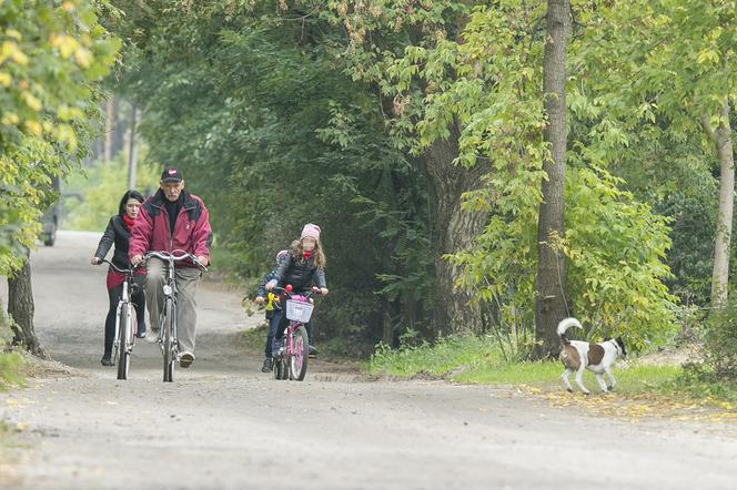 Korwin- Mikke zabrał rodzinę na rowery 