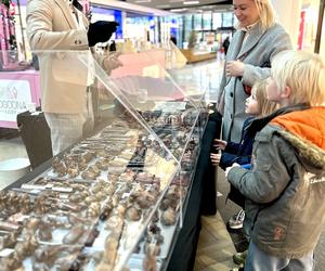 Centrum Serenada świętuje 6. urodziny. Wpadnij na Festiwal Czekolady i Słodkości