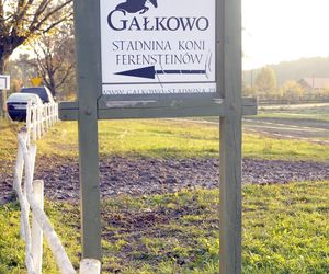   Mała wieś w woj. warmińsko-mazurskim z wielką renomą. To miejsce przyciąga gwiazdy