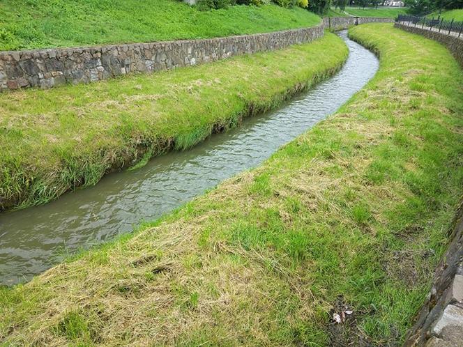 Sytuacja hydrologiczna w Tarnowie. Czy grozi nam powódź?
