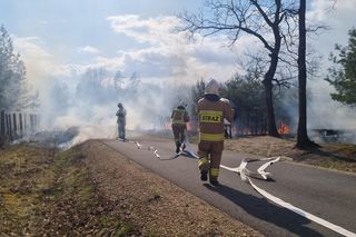Wzniecał pożary w lasach. Podpalacz z Kuźni Raciborskiej zatrzymany. To 14-latek