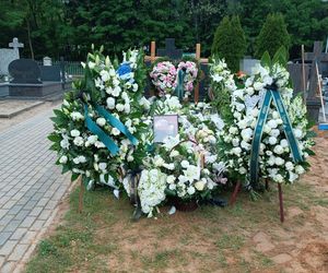 Rąbnęli w łosia, osierocili synka