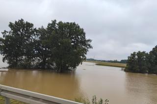 Gigantyczne rozlewisko na Nysie Kłodzkiej
