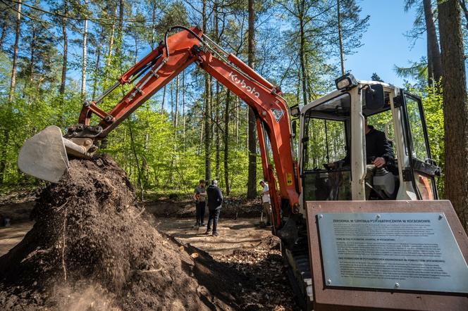 W Lesie Szpęgawskim odnaleziono zbiorową mogiłę. Dokonano tam masowych zbrodni niemieckich z II wojny światowej