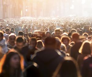 Gęstość zaludnienia w Polsce. W tych miejscowościach żyje się jak w ulu. W rankingu próżno szukać miast wojewódzkich!