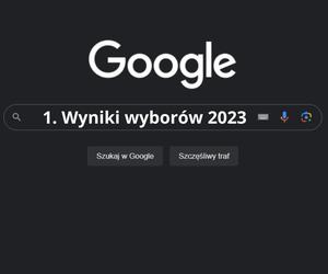 Rok w wyszukiwarce Google. Co najczęściej „googlowali” Polacy? 