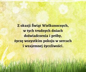 Piękne kartki wielkanocne 2023. Wyślij życzenia w formie obrazka!