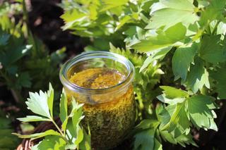 Lubczyk ogrodowy - jakie ma właściwości? Jak wykorzystać go w kuchni i ziołolecznictwie?