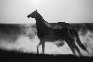 Grand Press Photo 2022