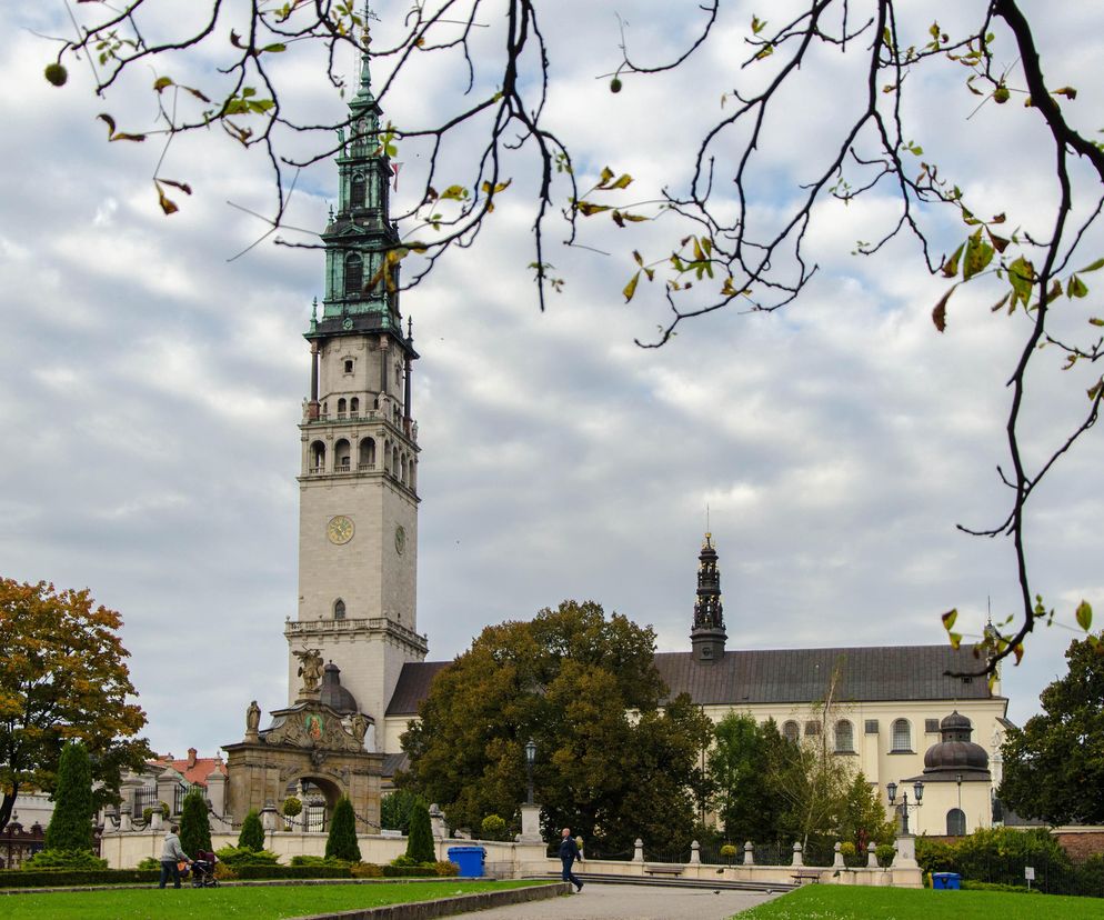 Najbardziej zielone miasta w Śląskiem