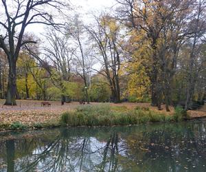 Park Sołacki w Poznaniu jesienią