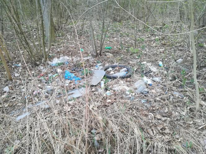 Śmieci w lasach - Siedlce