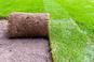 Trawnik z rolki - wykonanie i pielęgnacja trawników z rolki