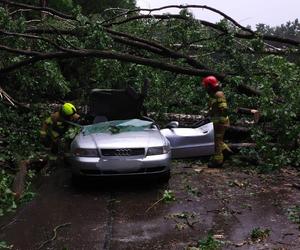 Potężna nawałnica przeszła przez woj. lubelskie. Straty są ogromne, jedna osoba jest ranna [ZDJĘCIA]