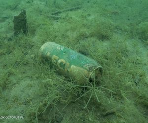 jezioro Tarnobrzeskie Niezwykła akcja płetwonurków