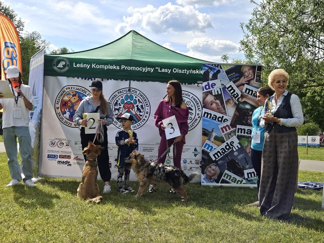Festiwal Przyjaciół Zwierząt w Olsztynie. Park Centralny opanowały radosne pieski