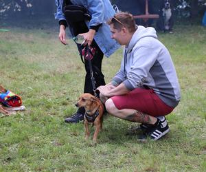 IX Piknik Przyjaciół Schroniska w Toruniu