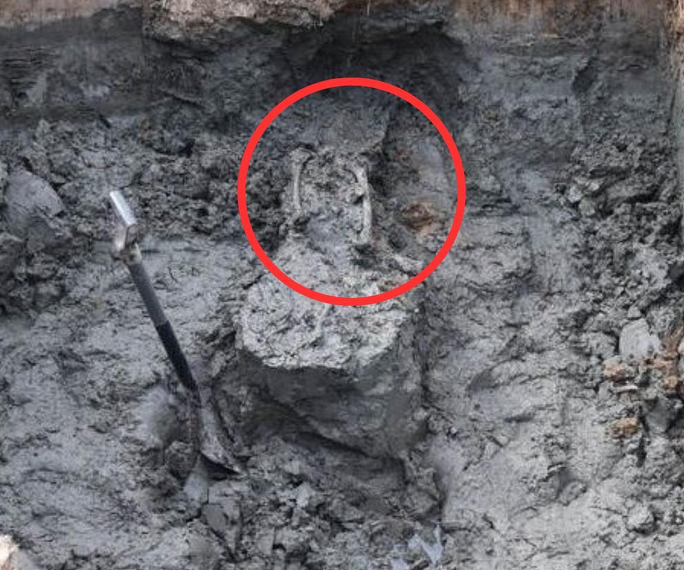 Podczas prac kanalizacyjnych wykopano ludzkie szczątki