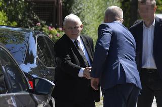 Jarosław Kaczyński ma płot obrośnięty winoroślą. Ochroniarze podjadają owoce