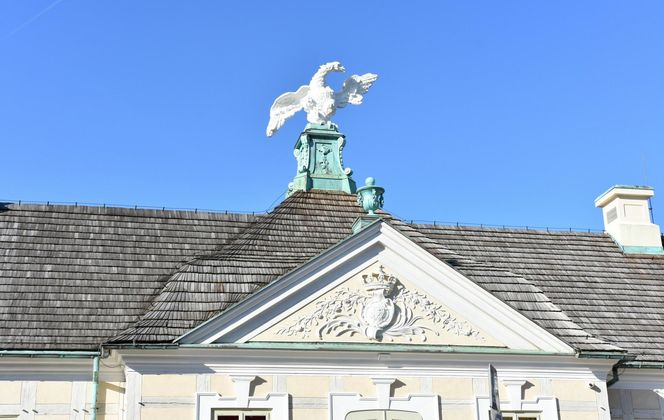 Muzeum Pałac Saski w Kutnie